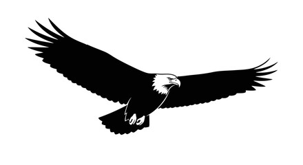 Fototapeta premium American Bald Eagle in Flight.