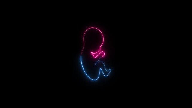 Baby embryo in womb neon glow animation on black background. uterine cavity of women, cyan line Ultrasound of baby icon concept. 