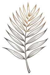 Fototapeta premium Hand Drawn Palm Leaf Branch with Graphic Lines Nature Inspired Illustration