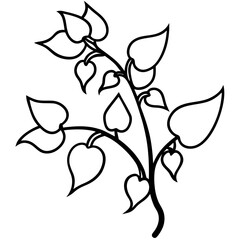 Fototapeta premium Hyacinth Bean Vine with Flowers - Abundant Growth Vector Art