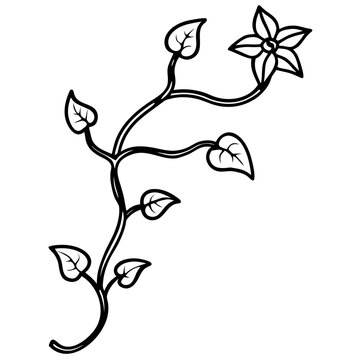 Stuffing Cucumber Vine with Blossoms and Leaves - Vector Art