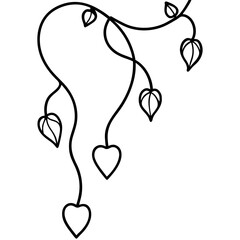 String of Hearts Vine (Ceropegia woodii) Climbing - Vector Illustration