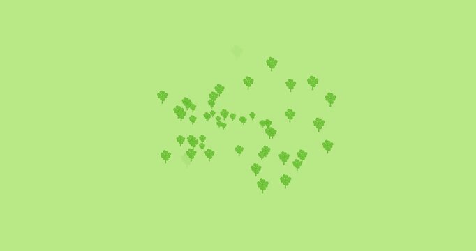 Digital animation of multiple clover leaves forming against green background