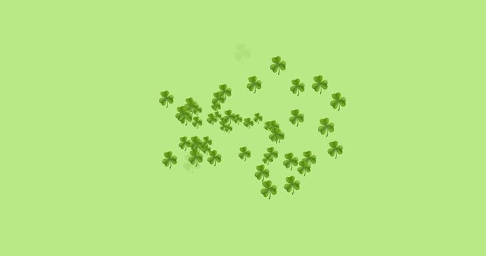 Digital animation of multiple clover leaves forming against green background