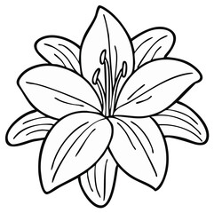 Obraz premium Minimalist black line art drawing of a blossoming lily flower showcasing elegant petals and prominent stamens