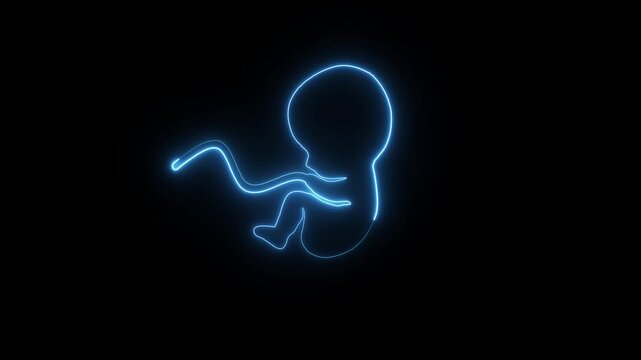 Baby embryo in womb neon glow animation on black background. uterine cavity of women, cyan line Ultrasound of baby icon concept. 