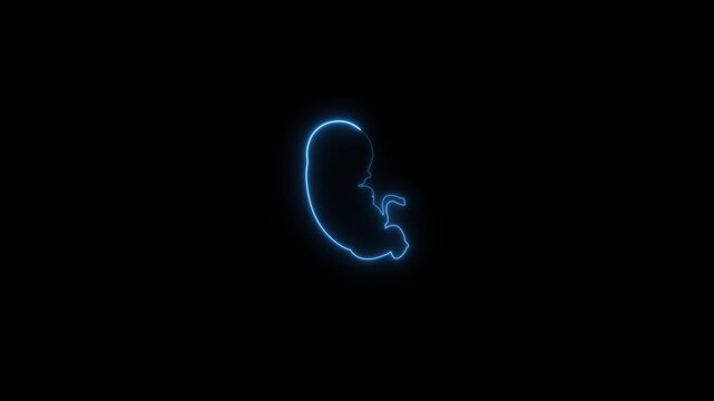 Baby embryo in womb neon glow animation on black background. uterine cavity of women, cyan line Ultrasound of baby icon concept. 
