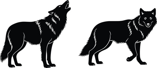 Wolf silhouette illustration, two black figures howling and standing alert, detailed fur outlines, wild animal vector design for decoration © Mozibur