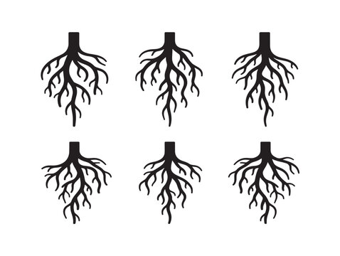 Exposed roots collection intricate silhouette vector pack