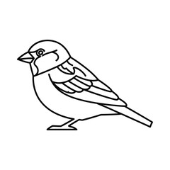 Obraz premium A black line drawing of a small bird standing on a plain white background viewed from the side