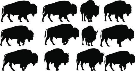 American bison silhouette set with buffalo side view collection isolated on white background for wildlife logo, western emblem and ranch design © Motahar