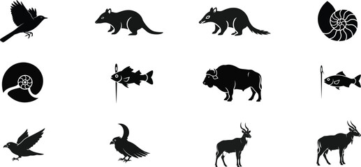 Collection of diverse animal silhouettes on white background © Rifat