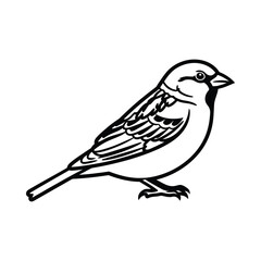 Fototapeta premium Detailed illustration of a small bird in profile view with black outlines on white background showcasing feathers and beak