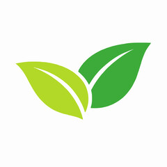 Simple Green Leaves Design