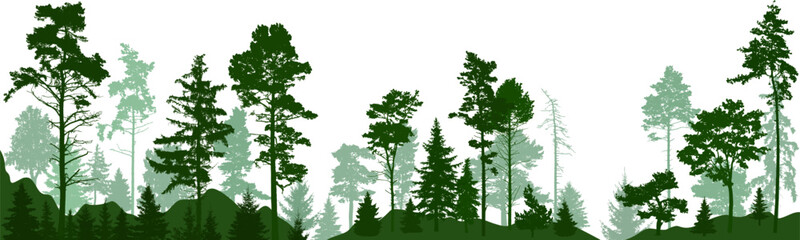 Forest silhouette trees. Vector illustration. Evergreen coniferous forest with pines, fir,  christmas tree, cedar. (Every tree isolated, separate from each other, free-standing)