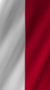 Vertical Monaco Flag Waving Animation, 4K Quality