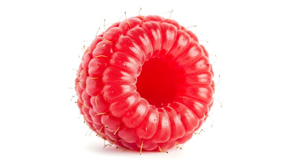 A single fresh vibrant red raspberry with fine hairs and texture stands isolated on a pristine white background in a studio shot