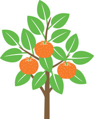 Mandarin tree logo. Isolated mandarin tree on white background