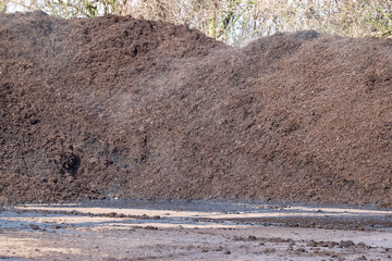 Fresh manure on the manure pile