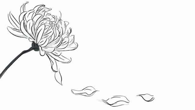 White Chrysanthemum Falling Petals Mourning Line Icon Vector
