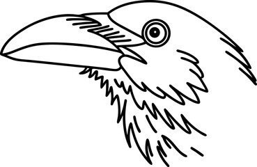 Fototapeta premium Close up black and white illustration of a toucan bird head with large beak and detailed feathers