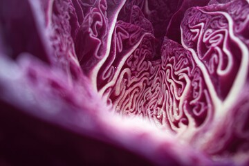 Obraz premium Close-up macro view of vibrant purple cabbage leaf veins