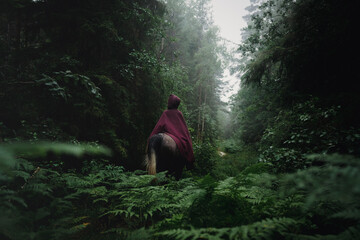 Girl on an arabian horse