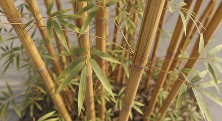 Close-up of golden bamboo stalks with green leaves, soft light, and blurred background