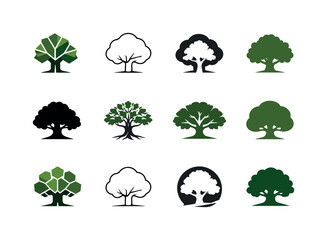Obraz premium Forest. Icon set. Set Logo of forest: single oak tree. harmonious logo variations of the same emblematic concept, each with different