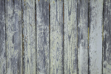 Fototapeta premium Wooden planks in gray tones with natural texture and wear seen close up in a well-lit environment