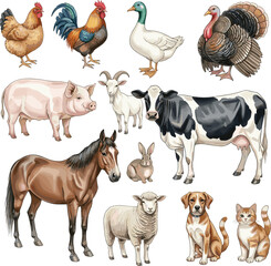 Fototapeta premium Farm Animals Collection with Cow Horse Sheep Pig Chicken Dog Cat and Turkey Illustration