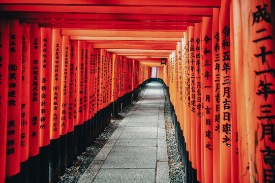 Kyoto, Japan. The gates in the Fushimi Inari shrine.