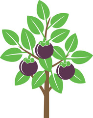 Mangosteen fruit tree logo. Isolated  mangosteen fruit tree on white background