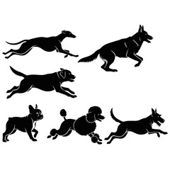 Set of Dog Silhouettes in Motion.