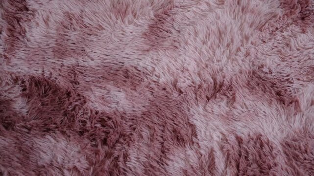 Plaid, blanket, fluffy carpet texture. Pink purple backdrop, fabric pile background. Soft fluffy rug textile.  