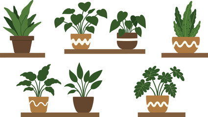 Obraz premium A small young green plant with fresh leaves grows in a flowerpot isolated on white, symbolizing botany growth and gardening life