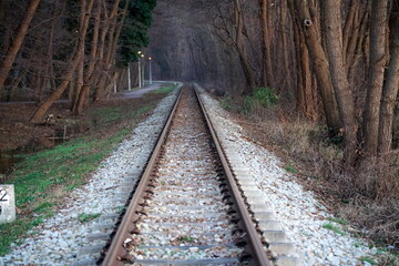 Gleise einer polnischen Schmalspurbahn