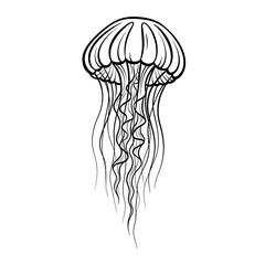 Elegant jellyfish illustration in black and white © malshan