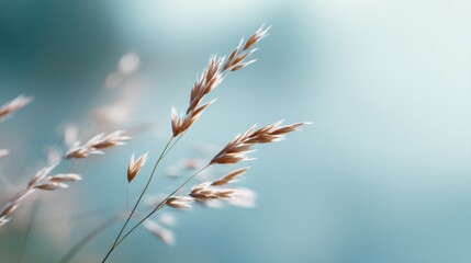 nature inspired calm background premium