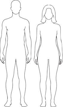 Male and female human body outline illustration on transparent background