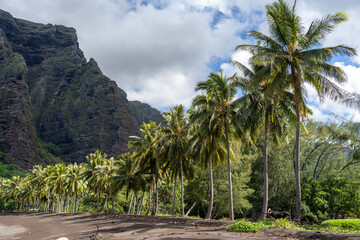 Fototapeta premium Remote beach in Hakaui Bay, Nuku Hiva, Marquesas Islands, French Polynesia