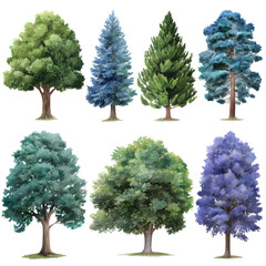 Fototapeta premium Collection of diverse trees with varying foliage, Transparent background PNG, displayed from a straight-on viewpoint in a natural environment