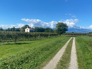 San Vito al Tagliamento - Chiesa di San Carlo Borromeo