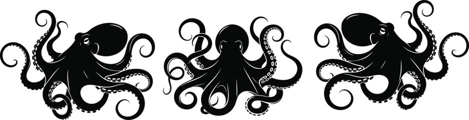 Set of three black octopus silhouettes with detailed tentacles, vintage nautical marine vector illustration isolated on white background for design and branding use © MdHarunur