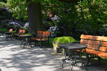 Ławki w Arboretum w Wojsławicach wśród kwitnących krzewów © Ewa