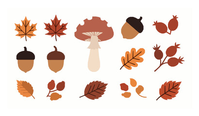 Autumn botanical elements vector collection with maple leaf mushroom acorn and rosehip isolated on white background © MdRiazul