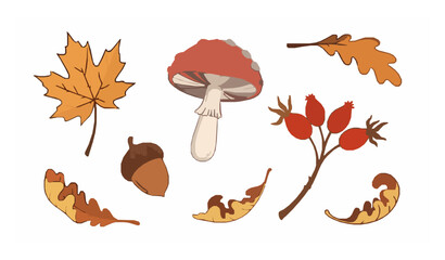 Cozy autumn foliage vector set with hand drawn maple leaves mushroom acorn and rosehip isolated on white background © MdRiazul