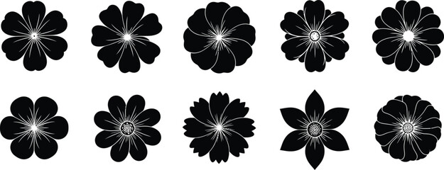 Obraz premium Black Flowers Isolated on White Background