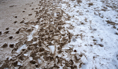 Obraz premium Strandufer der winterlichen Ostsee