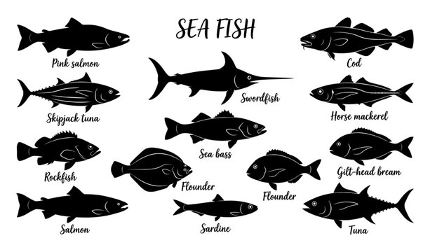 Sea fish silhouettes collection with 12 species names
